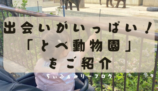 【動物園は学びがいっぱい♪】たくさんの動物に出会える「愛媛県立とべ動物園」をご紹介