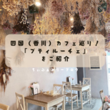 flower cafe Petit Luce　プティルーチェ（香川県/丸亀市）ドライフラワーが可愛いカフェをご紹介