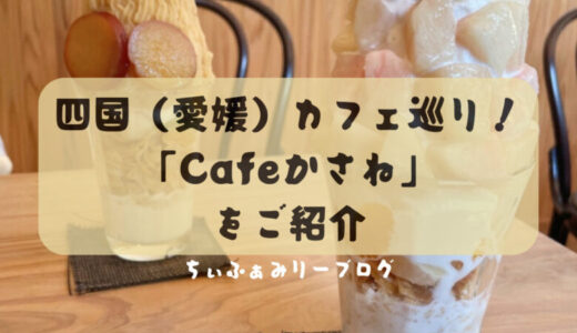 Cafeかさね　カフェかさね（愛媛県/西条市）季節のフルーツを使った贅沢なパフェが大人気！