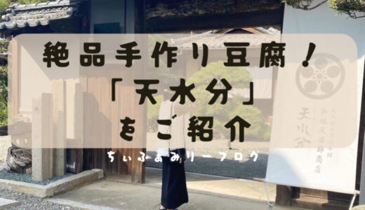 天水分　あめのみくまり（香川県/観音寺市）和の雰囲気漂う店内で手作り豆腐にしたつづみ